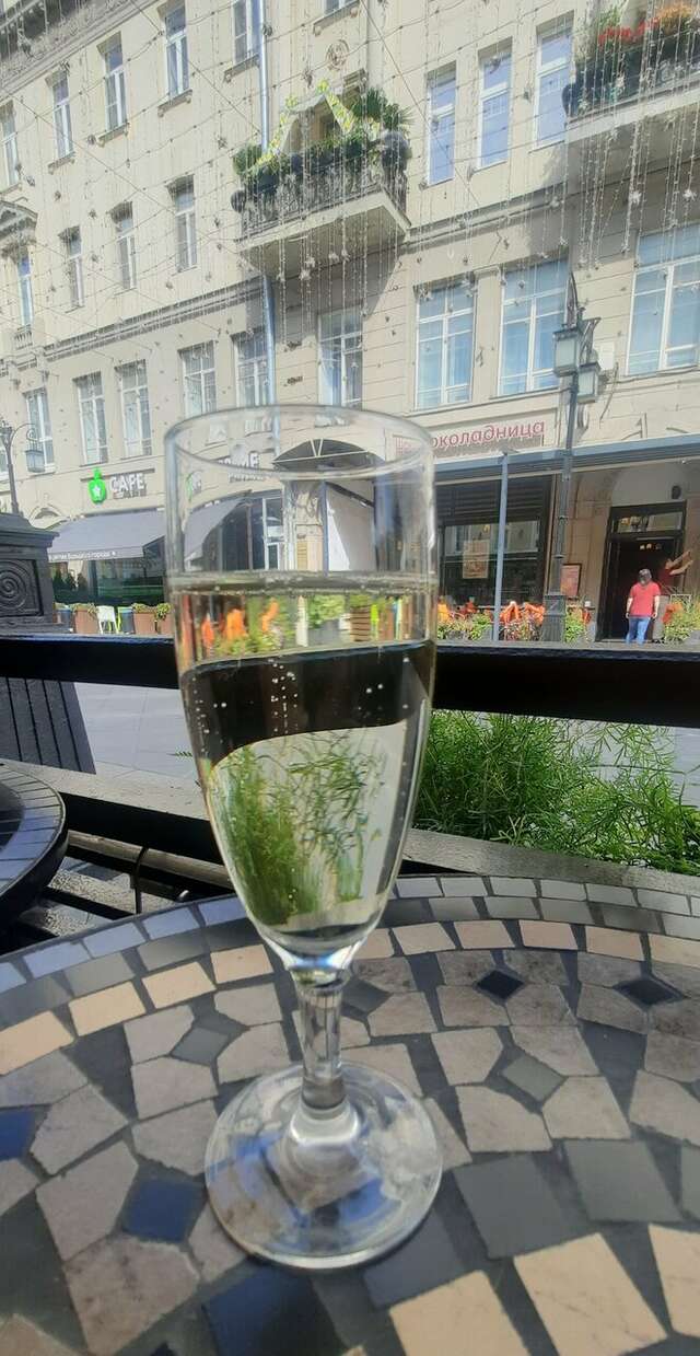 Гостиница Камергерский Москва-226